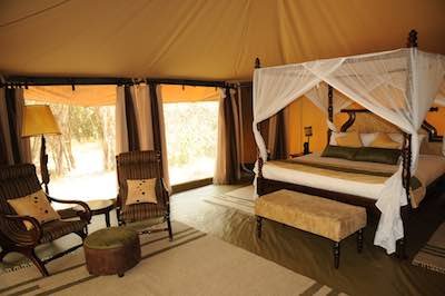 Ngenche Camp in the Masai Mara